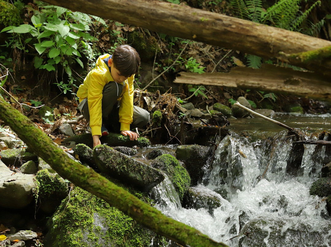 Kids Forest-Bagni di Lucca必去景点