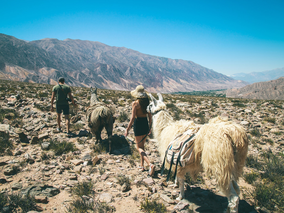 Aliwen Incoming DMC Argentina-布宜诺斯艾利斯必去景点