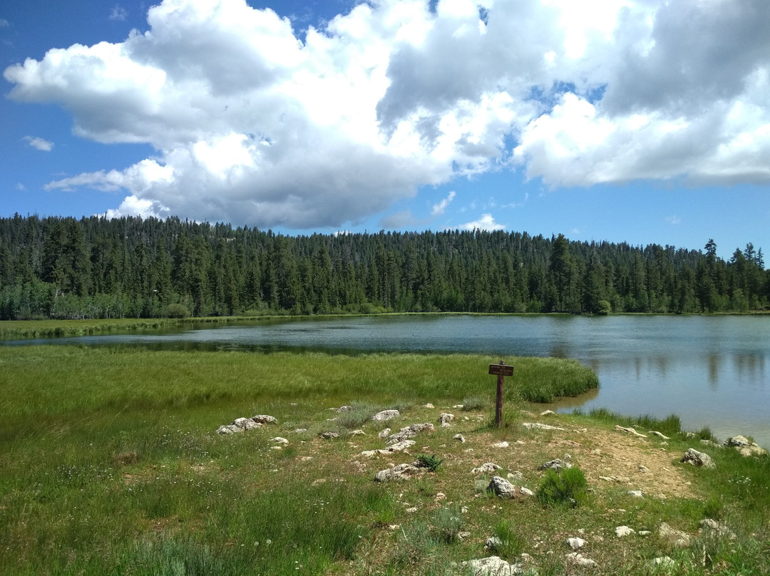 Lake Panguitch景点图片