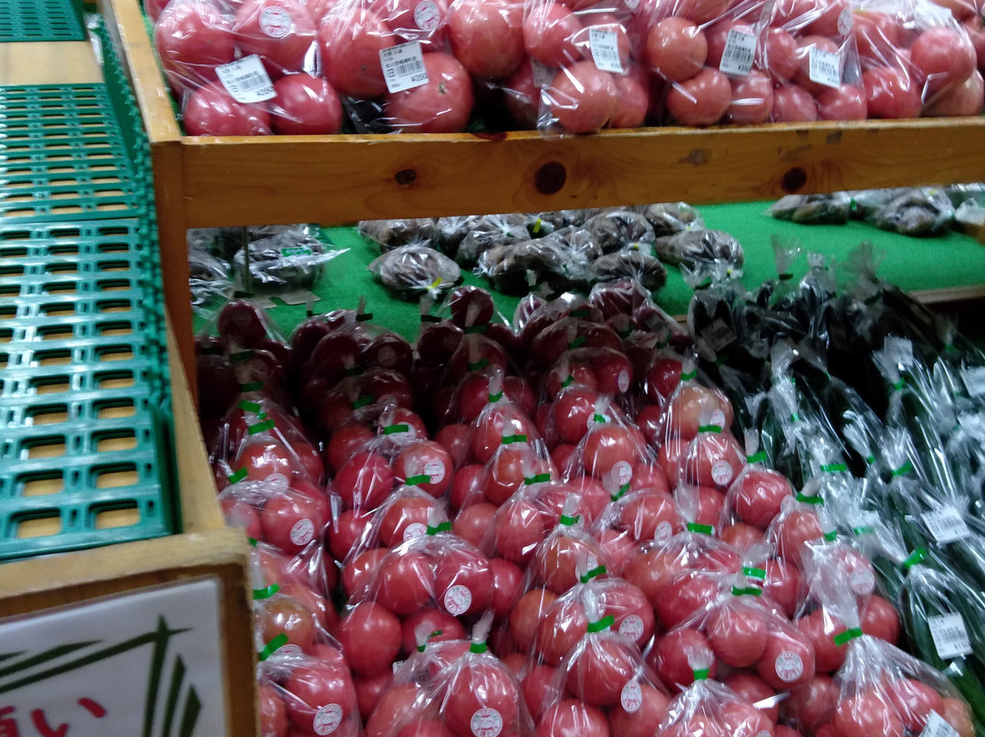 Michi-no-Eki Kaju Park Ashigakubo-横濑町必去景点