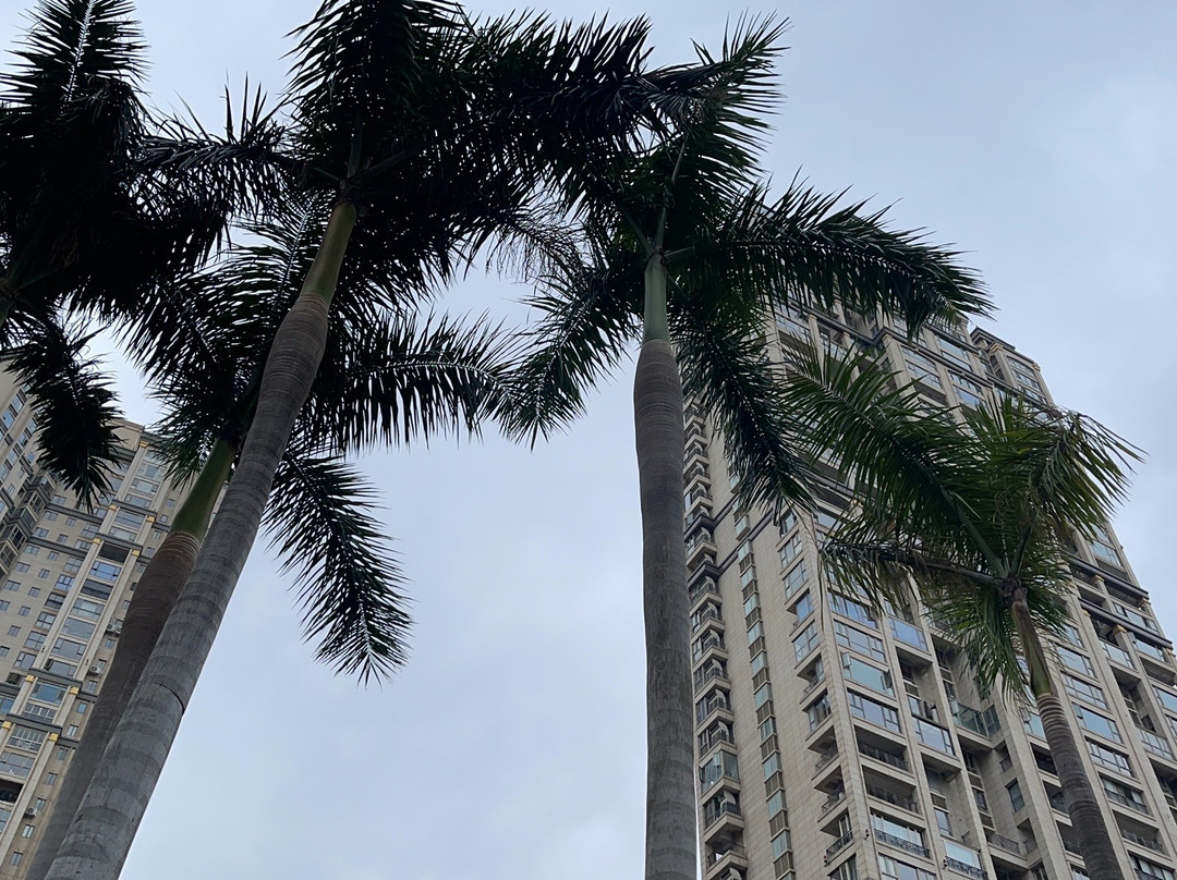 厦门首府世茂智选酒店(宝龙一城店）主图