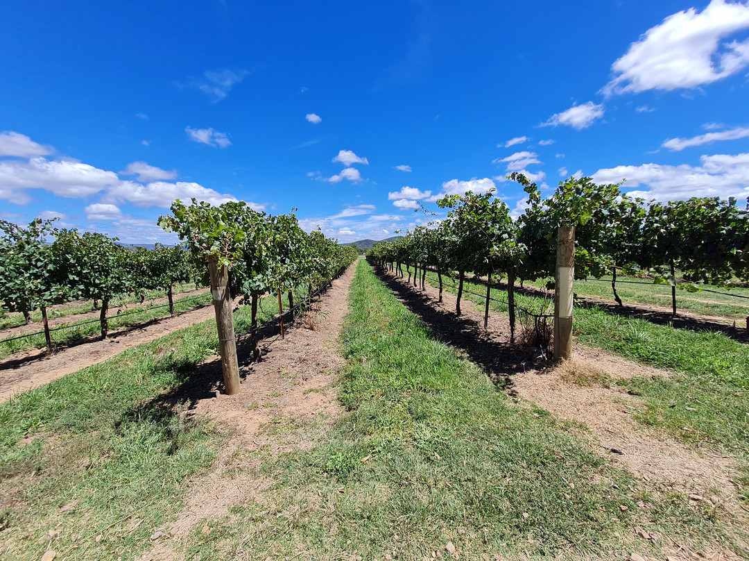 Robert Stein Winery, Vineyard & Farm-Budgee Budgee必去景点