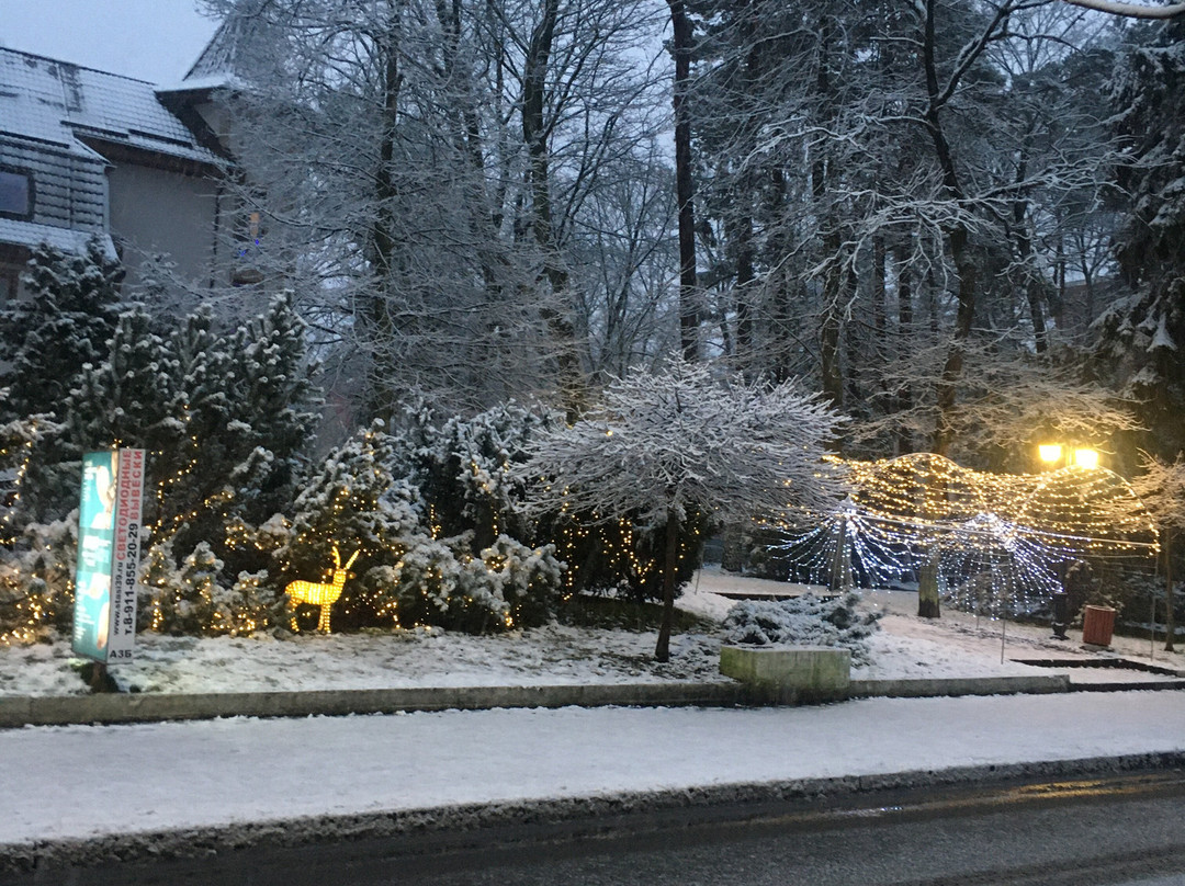 Planeta-斯韦特洛戈尔斯克必去景点