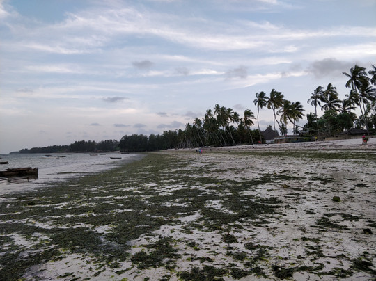 Blu Marlin Village主图