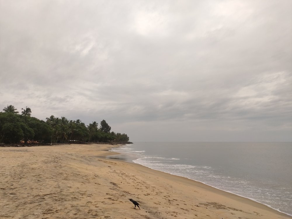Cherai Beach景点图片