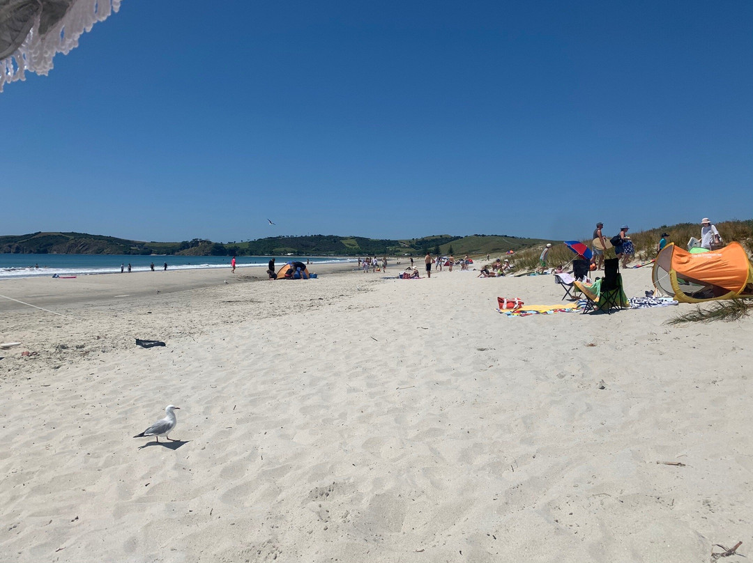 Omaha Beach-瓦卡沃夫必去景点
