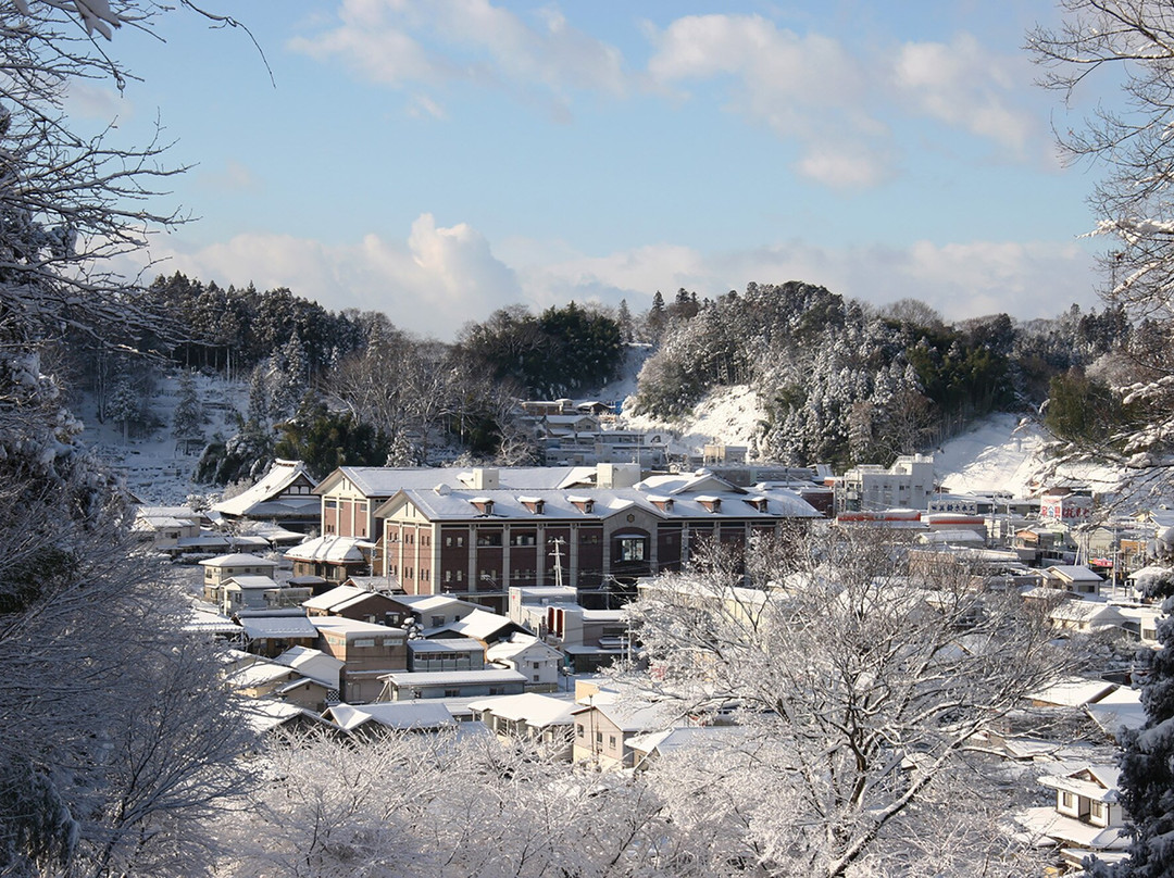 Daishichi Sake Brewery Co., Ltd.