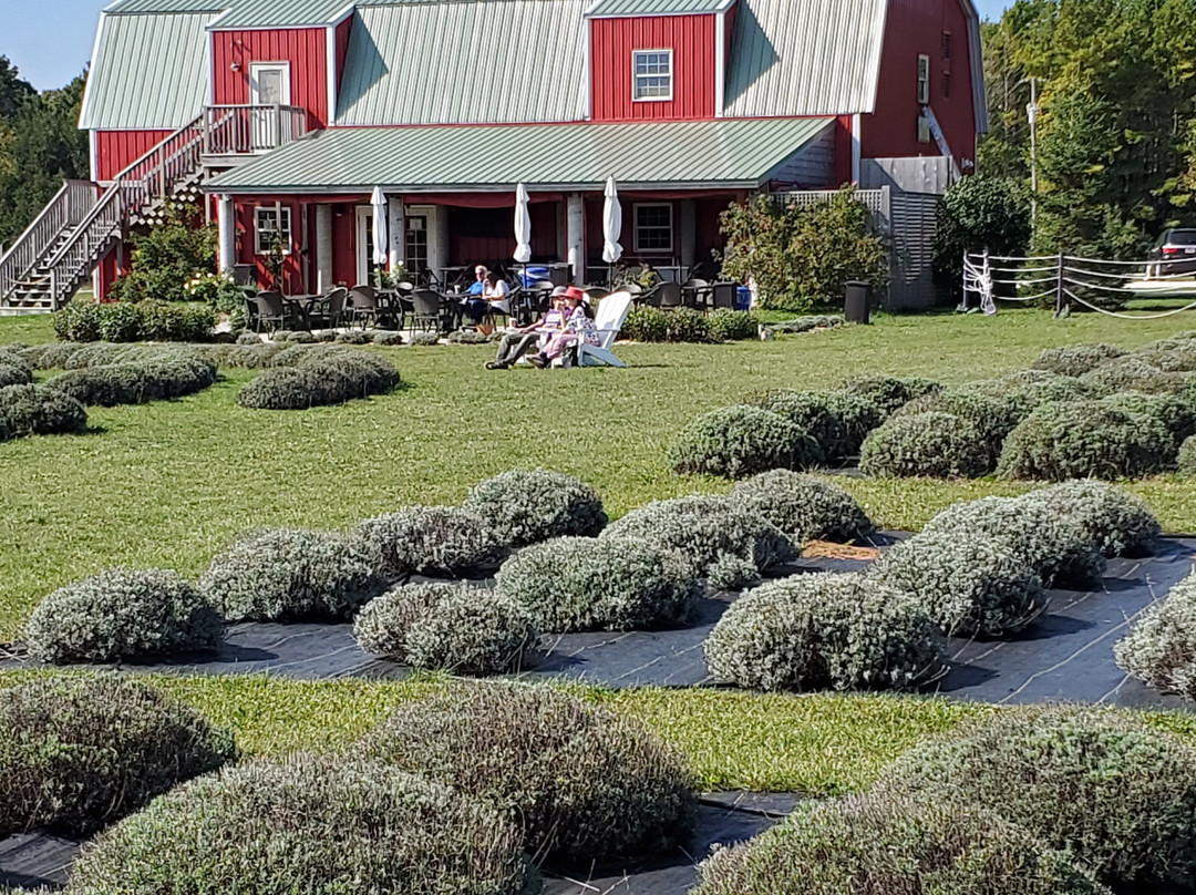 Fragrant Isle Lavender Farm & Shop-Washington Island必去景点