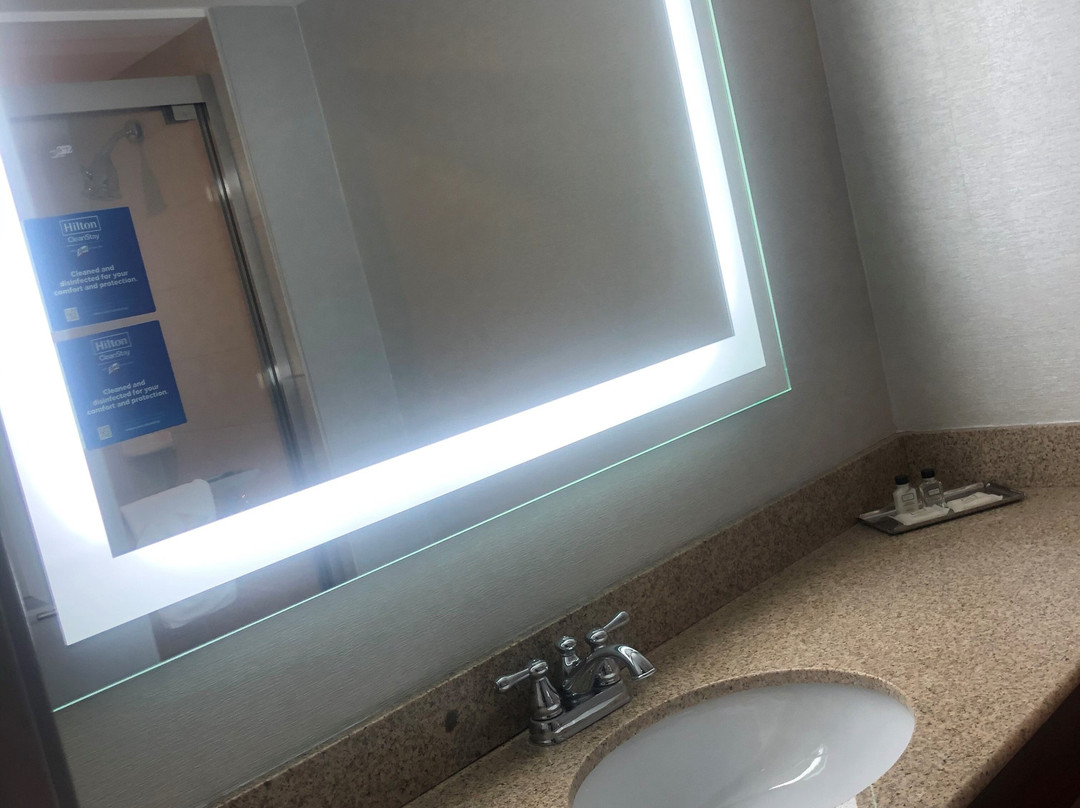 阿尔巴尼莱瑟姆靛蓝酒店主图