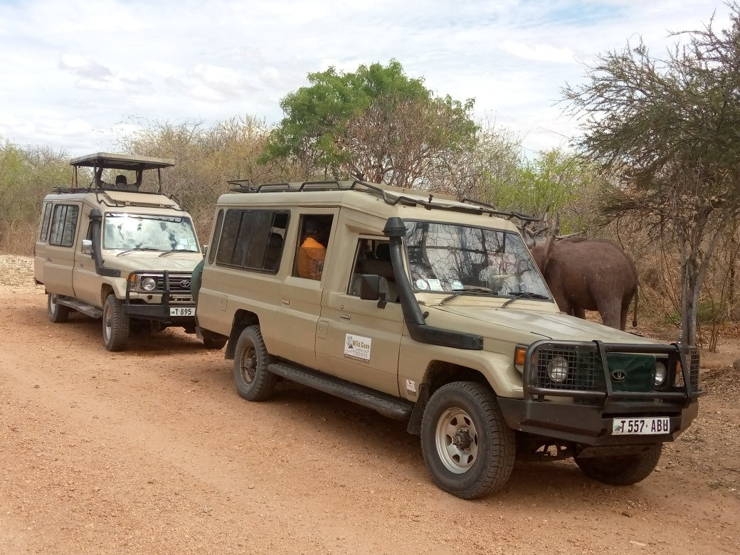 Wild Gaze Safaris Ltd-Iringa必去景点