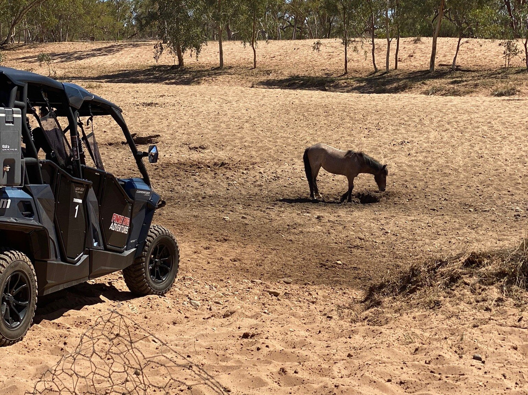 Finke River Adventures-爱丽斯泉必去景点