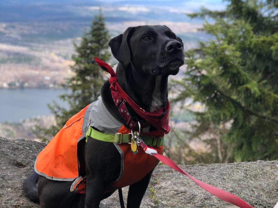 Elmore State Park-Elmore必去景点