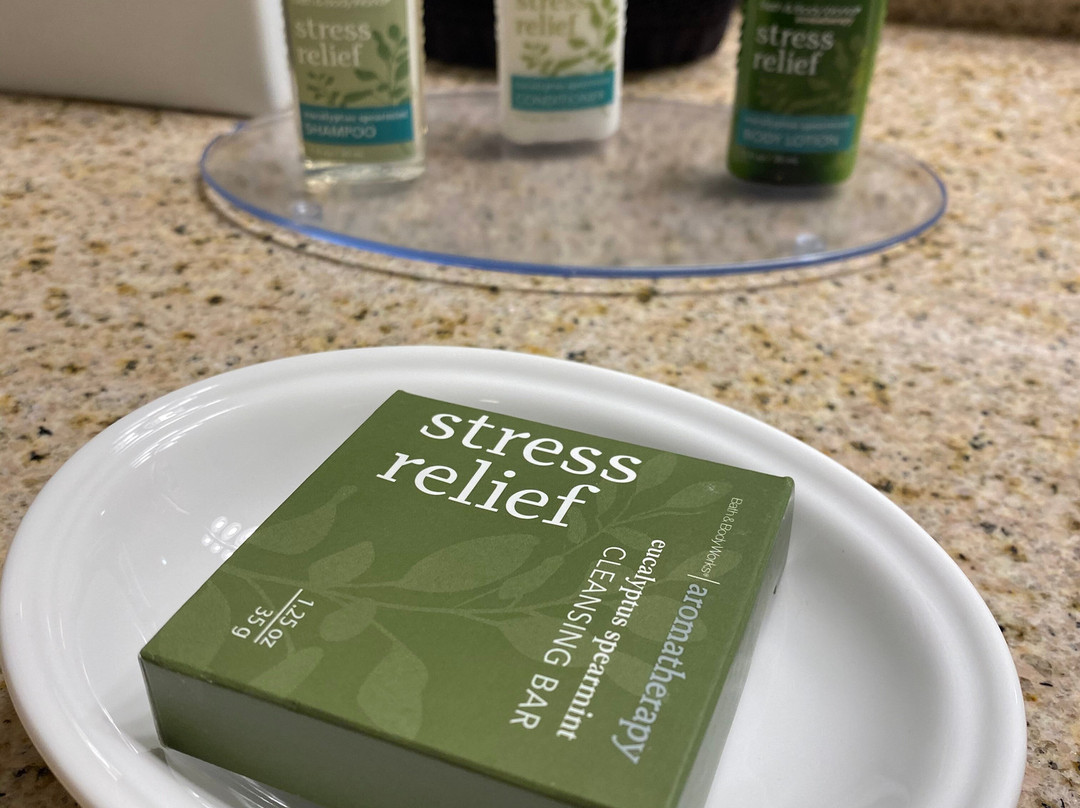 巴尔港大酒店主图