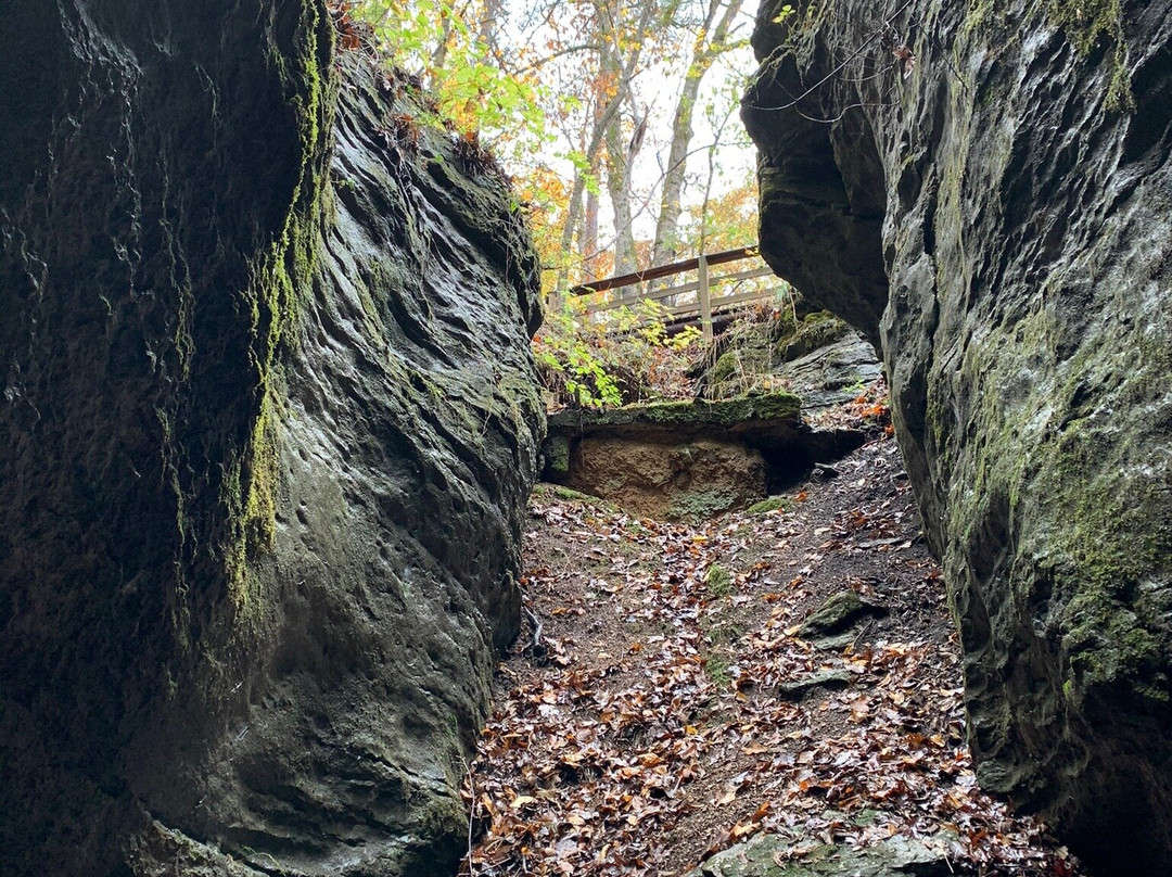War Eagle Cavern on Beaver Lake-罗杰斯必去景点