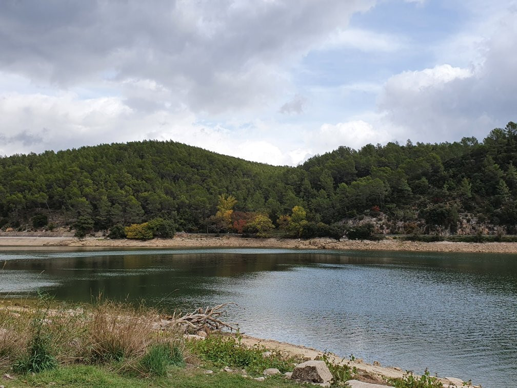 Lac de Carcès景点图片