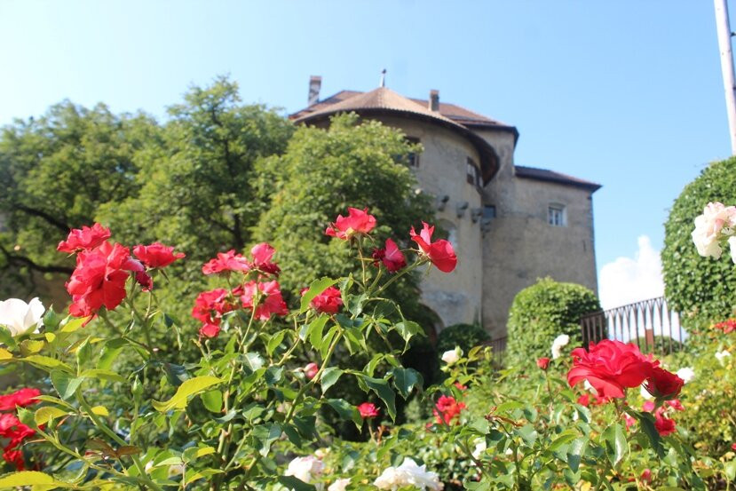 Castel Scena景点图片