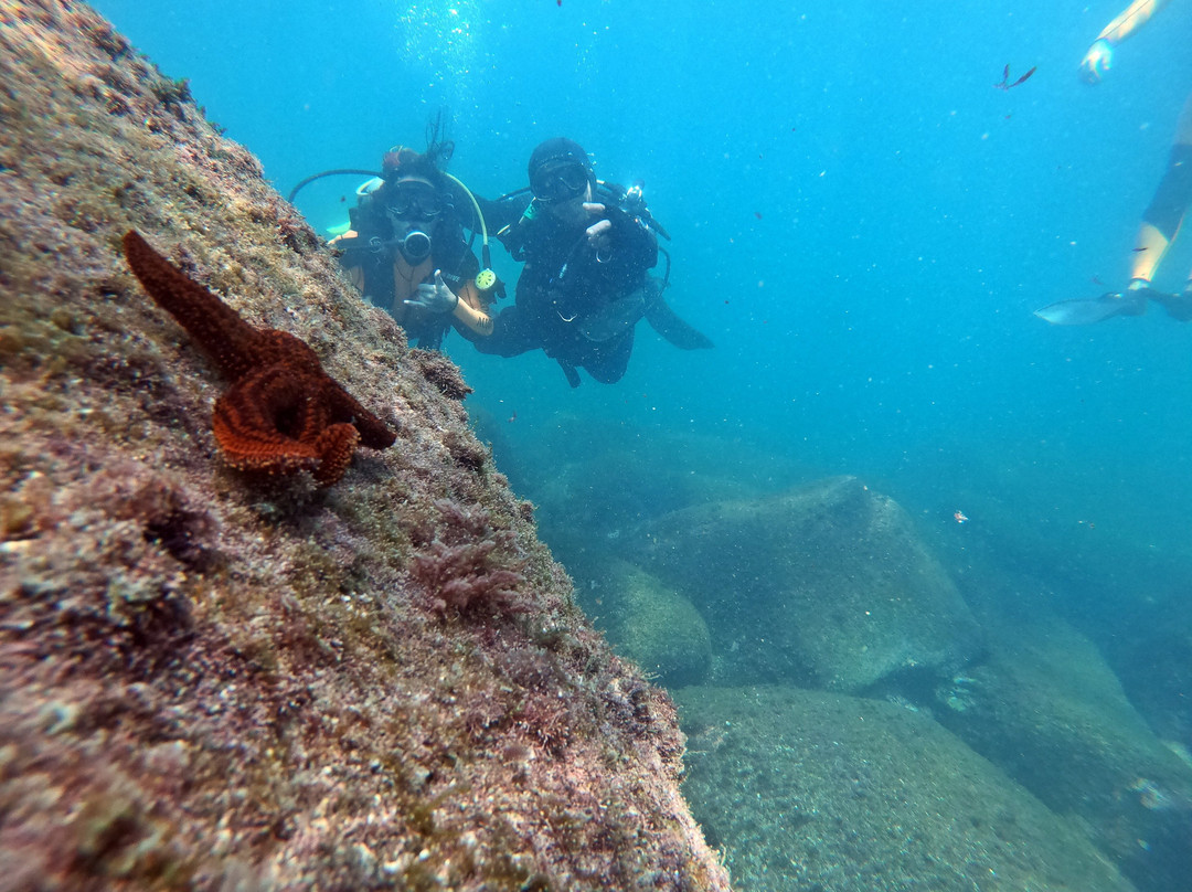 Acquanauta Floripa-弗洛里亚诺波利斯必去景点