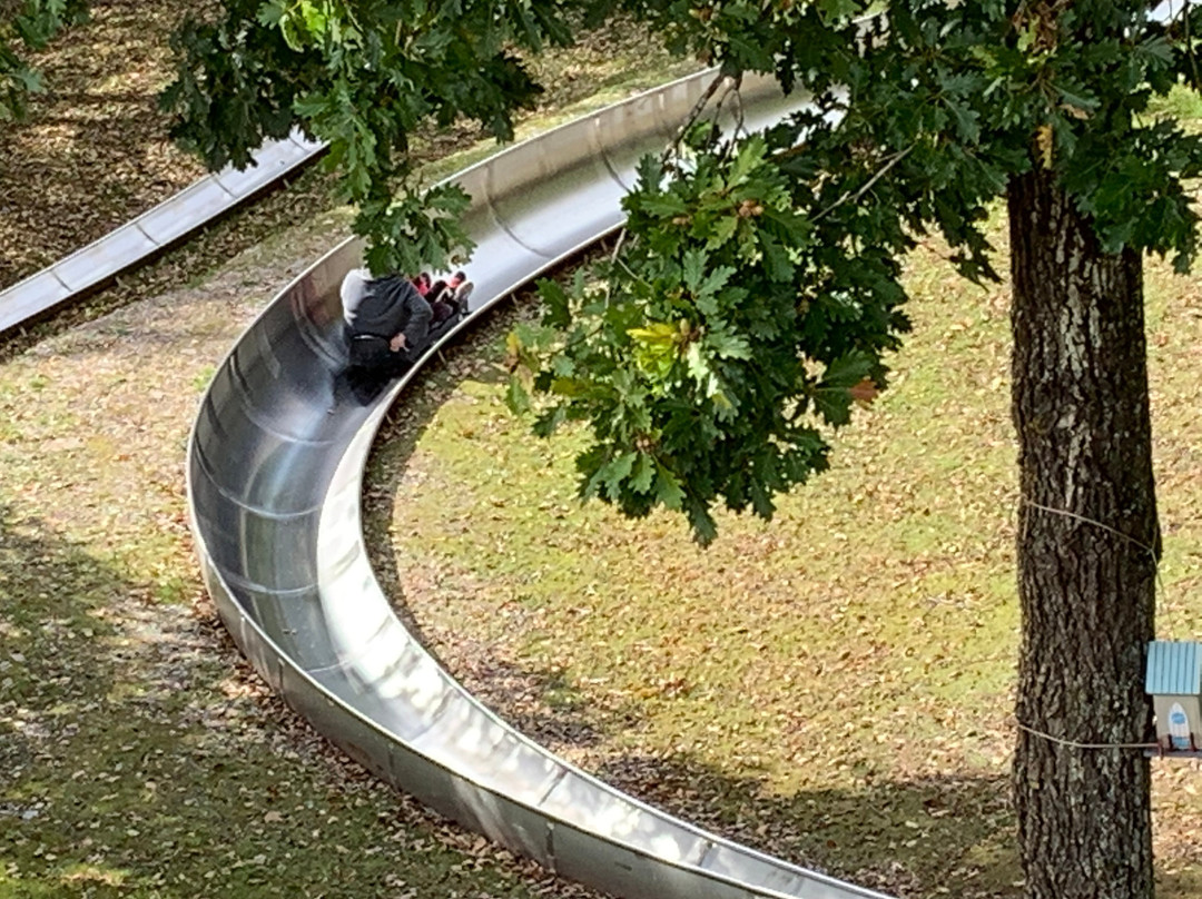 Sommerrodelbahn Saarburg景点图片