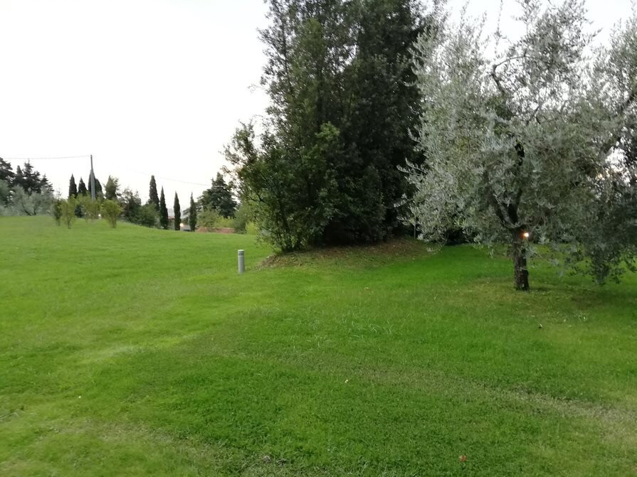 Villa Giorgia - Albergo in Collina主图