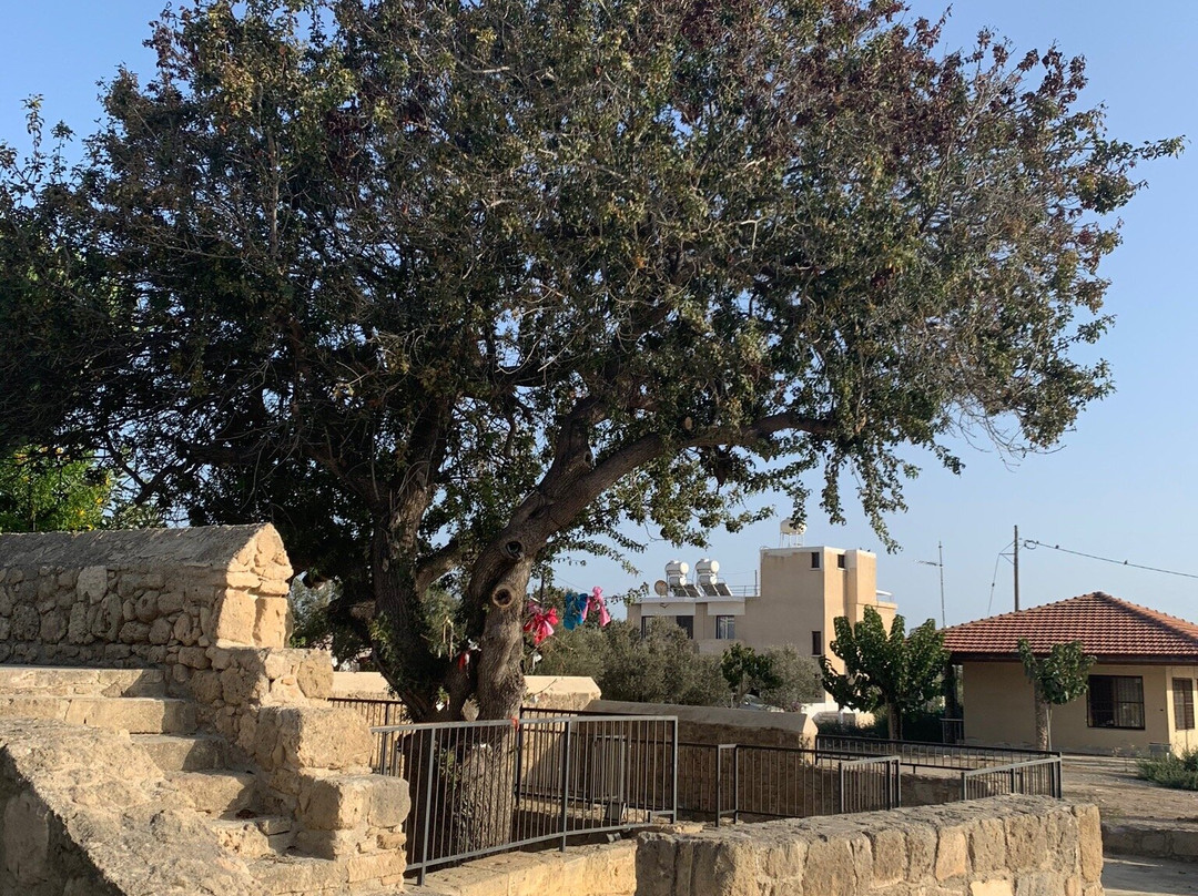 St. Solomon's Catacombs-帕福斯必去景点