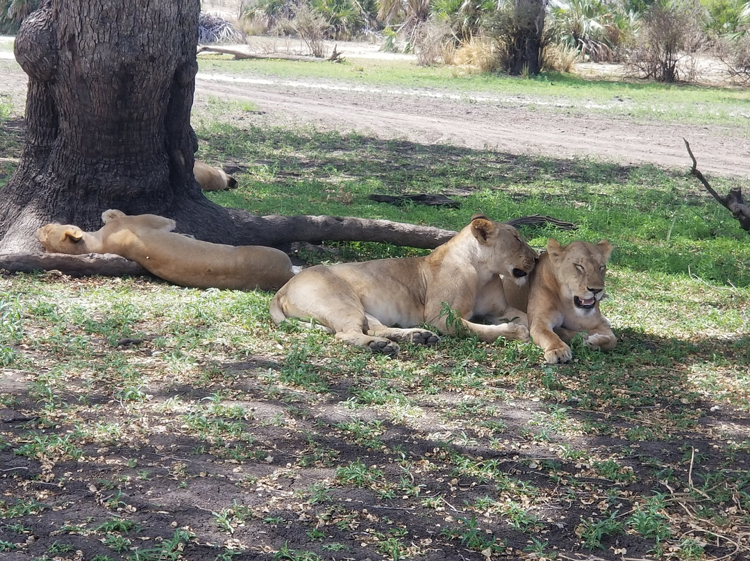 Usambara Expeditions-Dar es Salaam必去景点