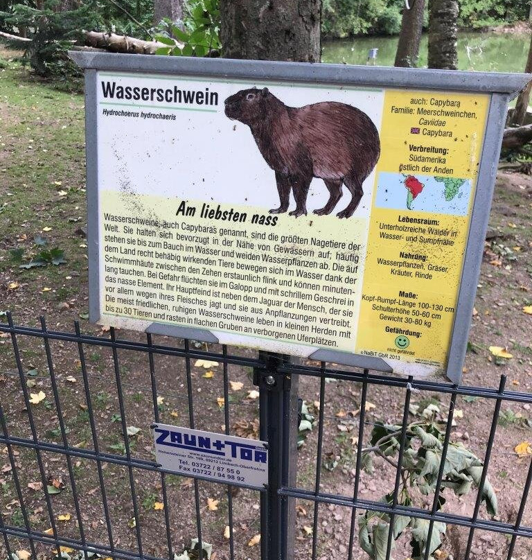 Tierpark Hirschfeld-Hirschfeld必去景点
