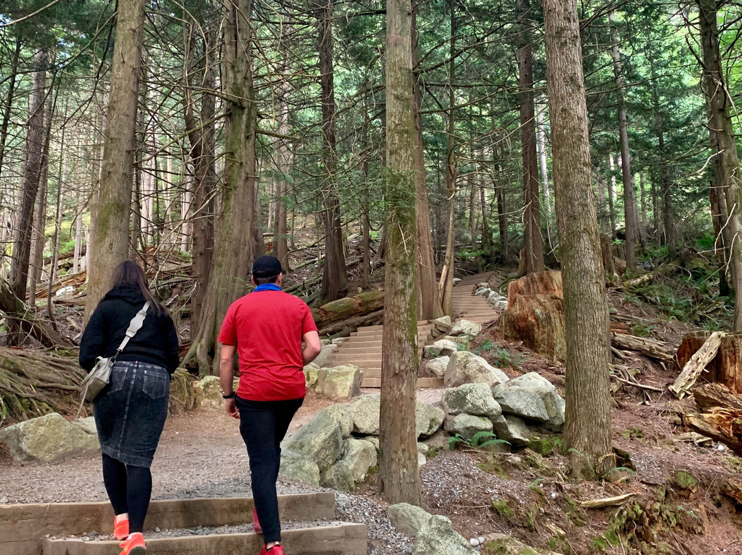 Shannon Falls Provincial Park景点图片