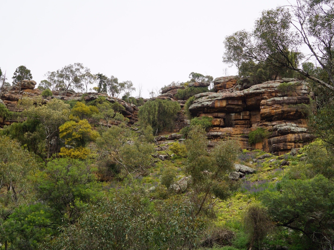 Cocoparra National Park景点图片