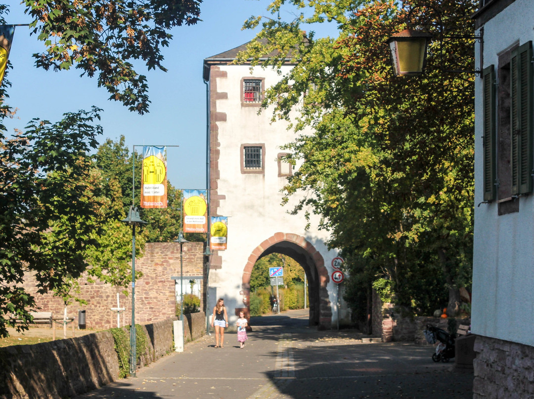 Burg Hayn景点图片