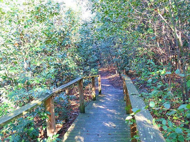 Living History Park-North Augusta必去景点