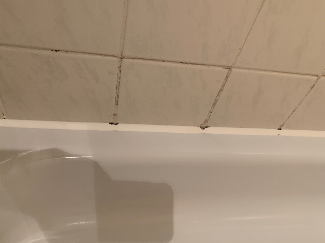 Hotel Luitpold Am See主图