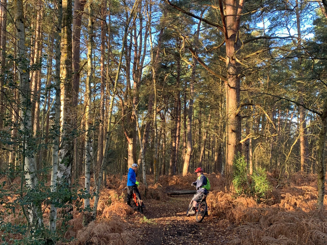 Surrey Hills Cycle Hire景点图片