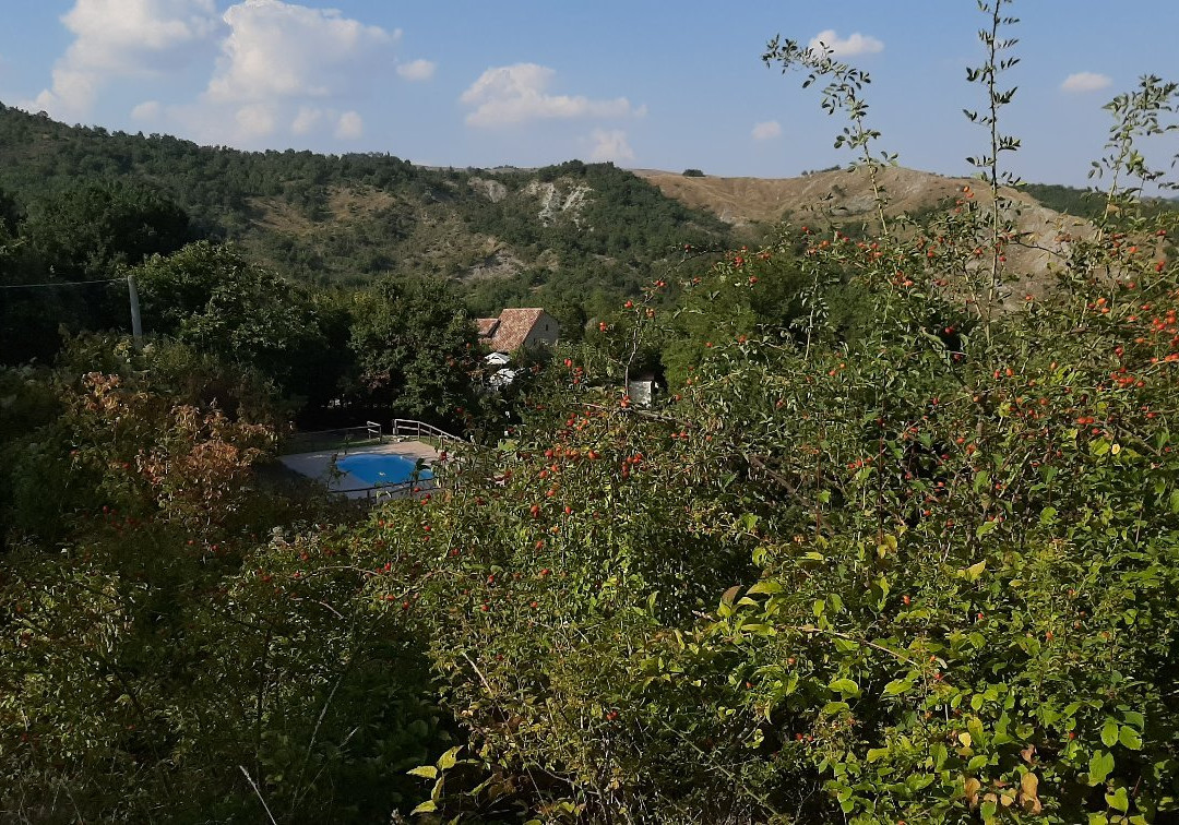 Oasi Naturista di Zello景点图片