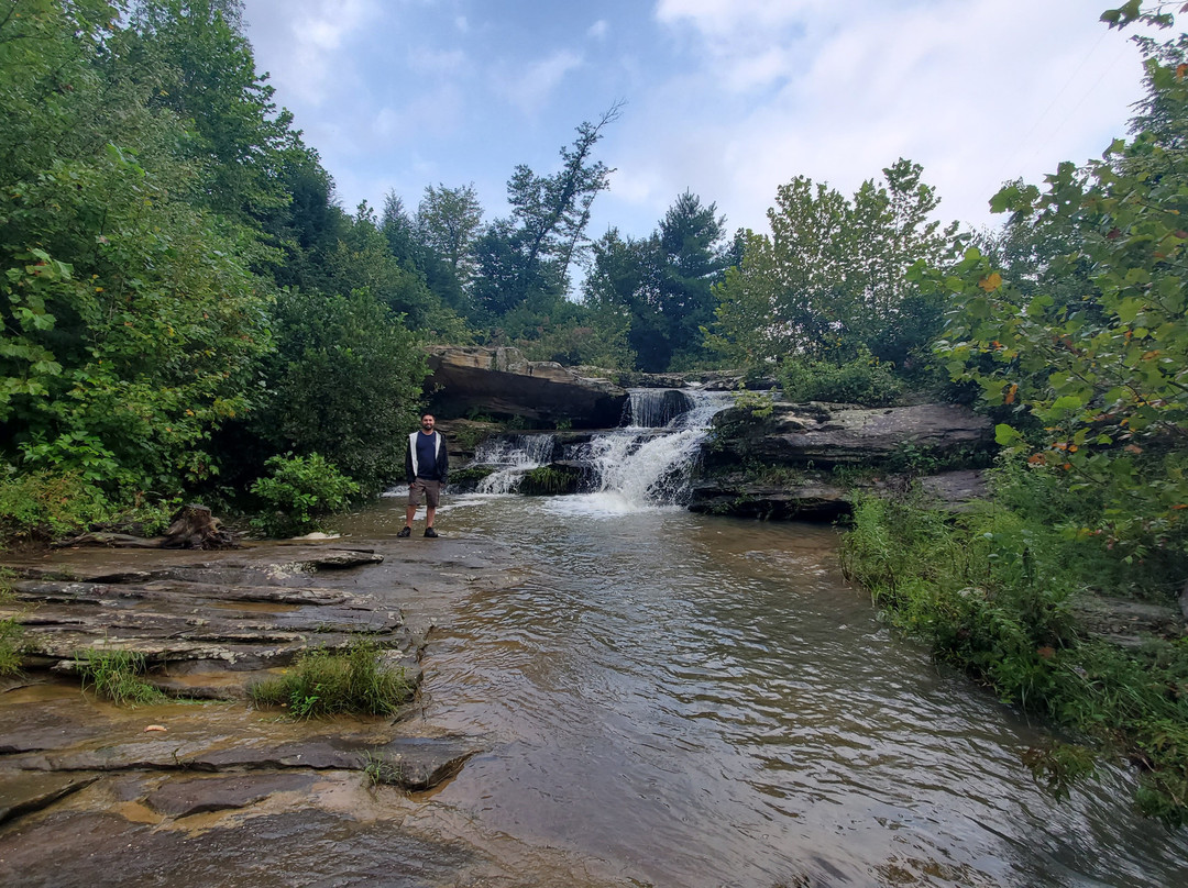 Broke Leg Falls-Wellington必去景点