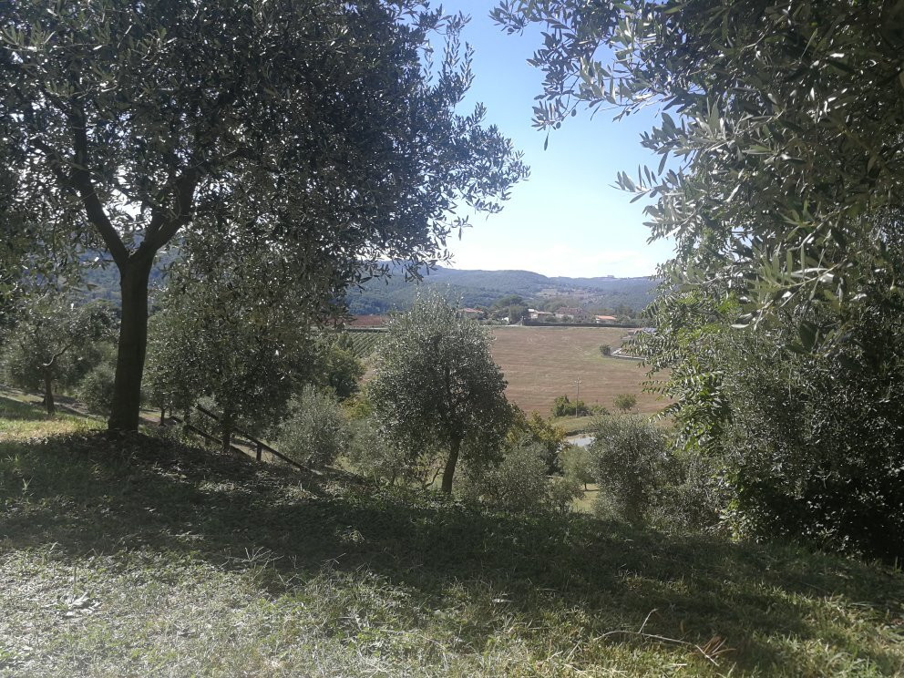 Agriturismo Val Della Pieve主图