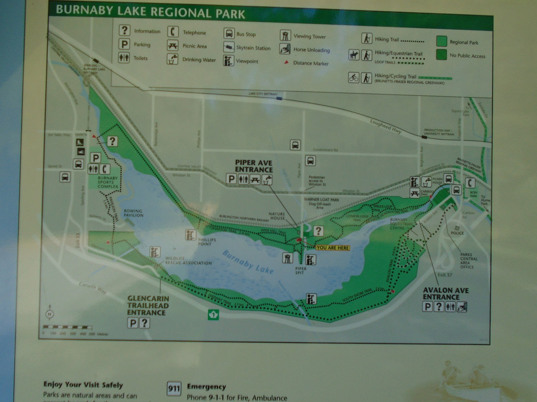 Burnaby Lake Regional Nature Park-本那比必去景点