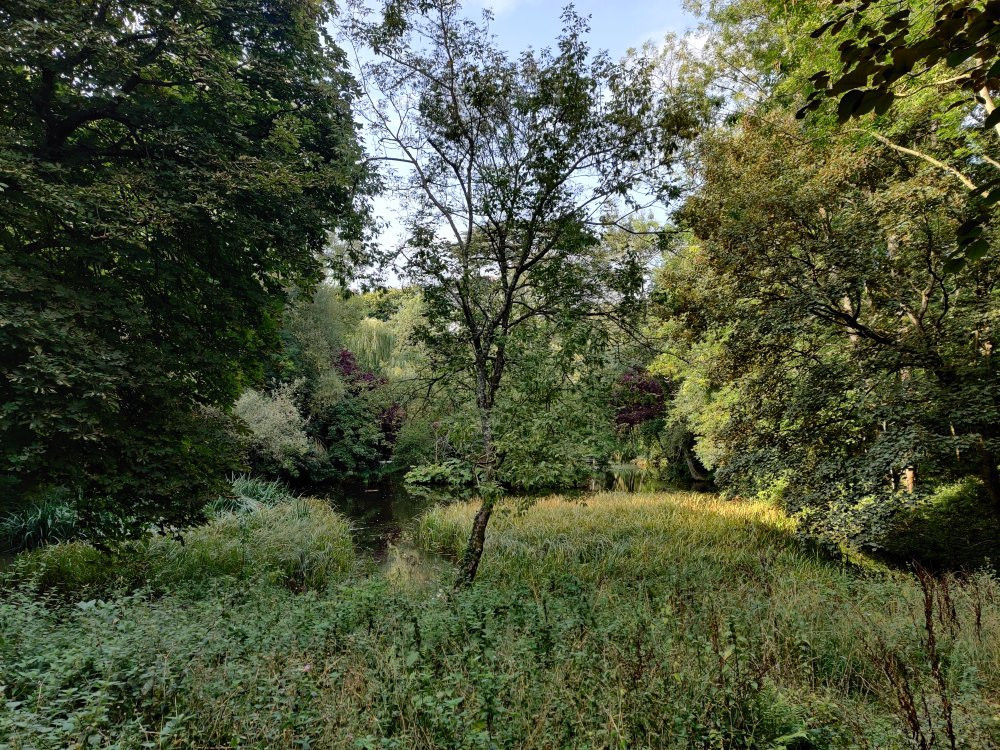 Wychwood Wild Garden景点图片