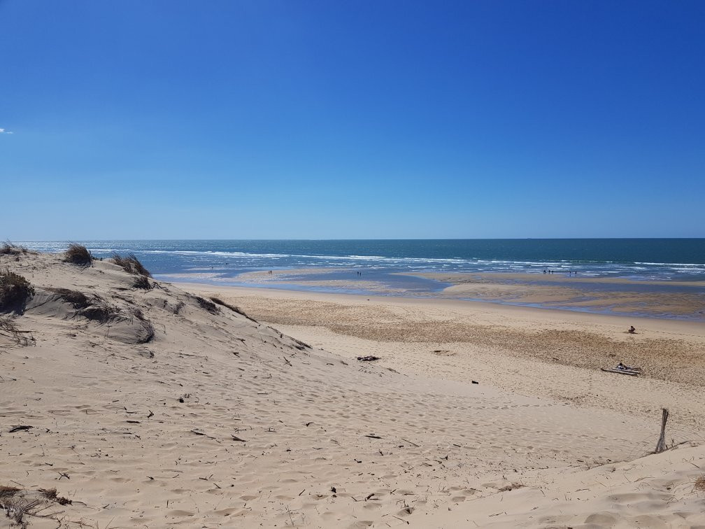 Plage de la Coubre景点图片