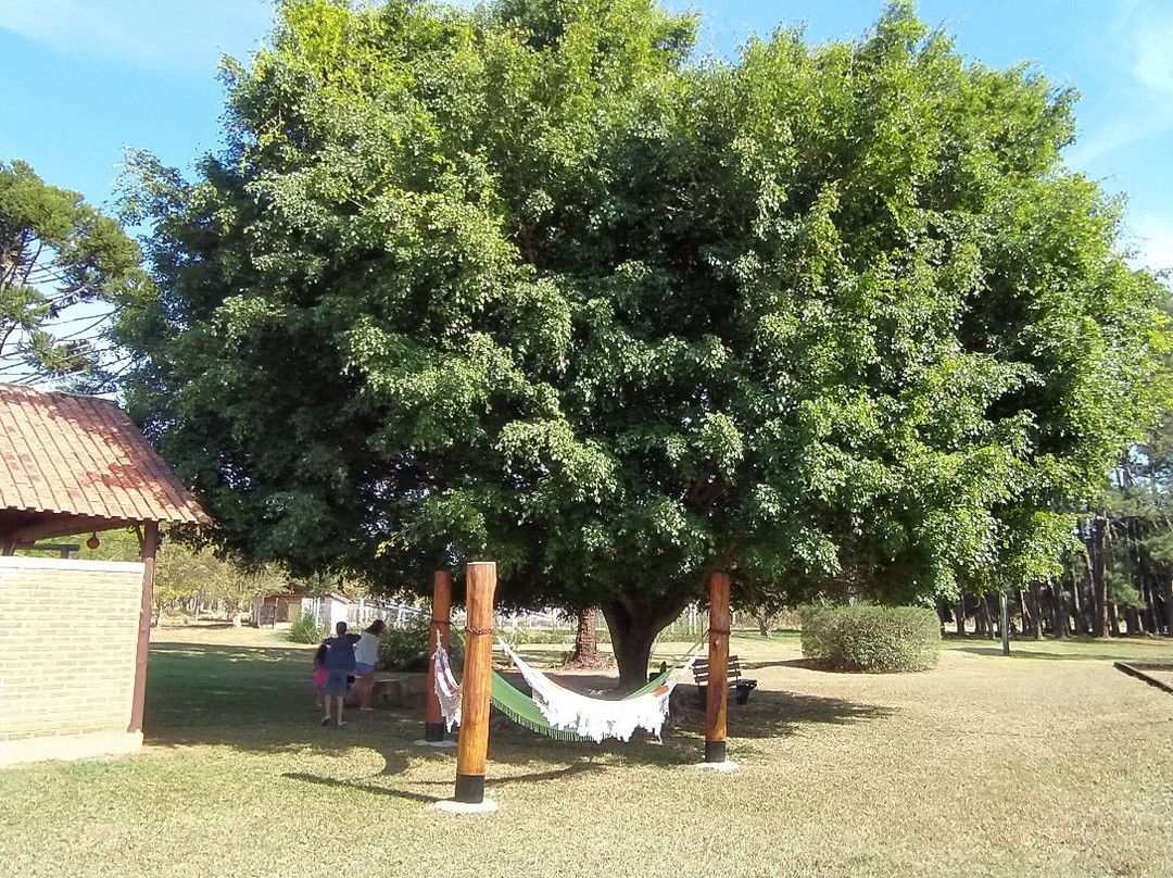 Pousada Vila Minas主图