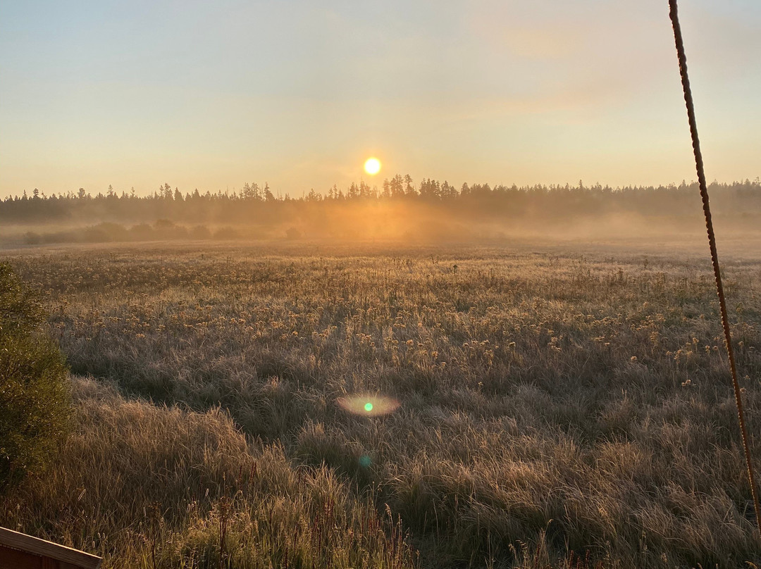 黄石帆布酒店主图