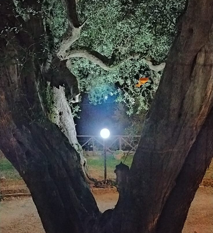 Agriturismo La Focazza