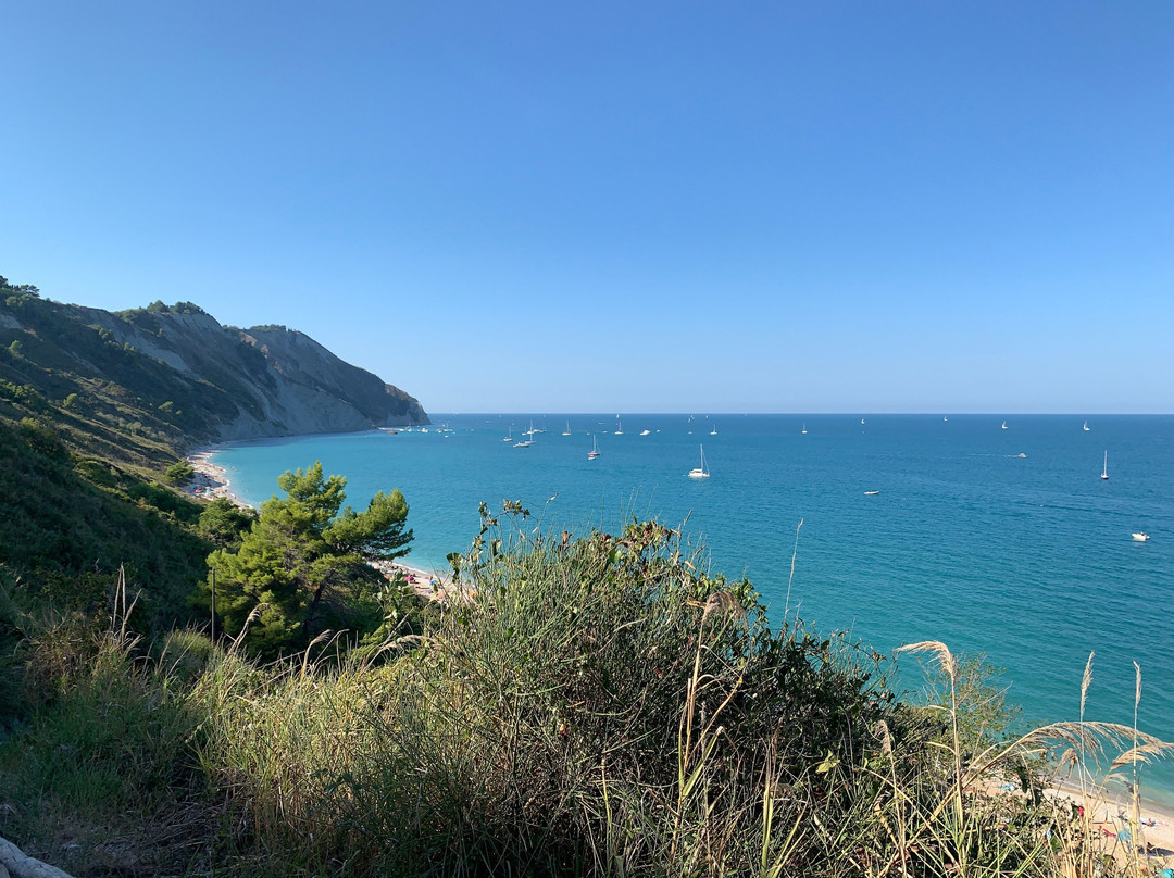 奥西莫酒店住宿-Bed & Breakfast I Ciliegi