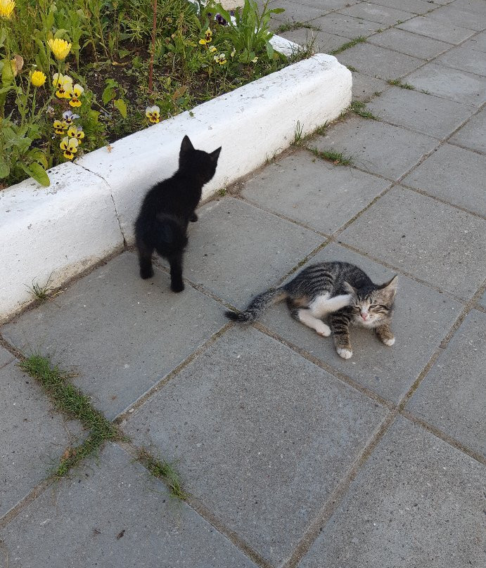 Church of the Holy Royal Martyrs-彼尔姆必去景点