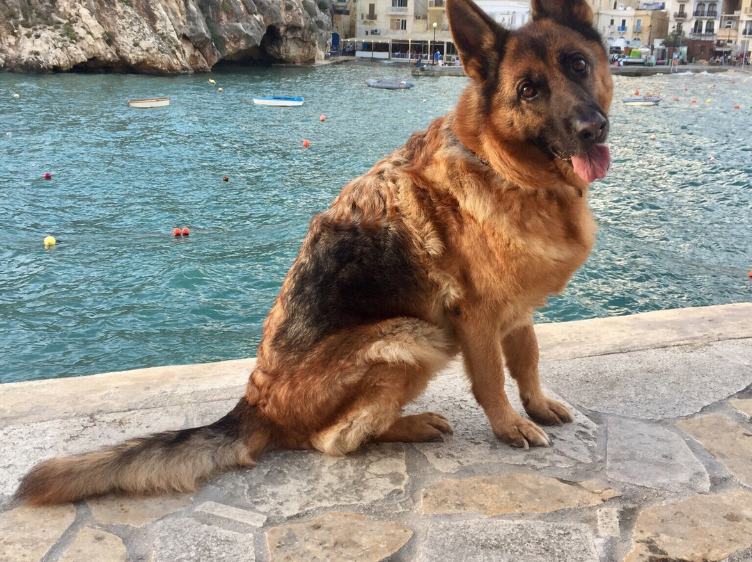 圣安德烈酒店主图