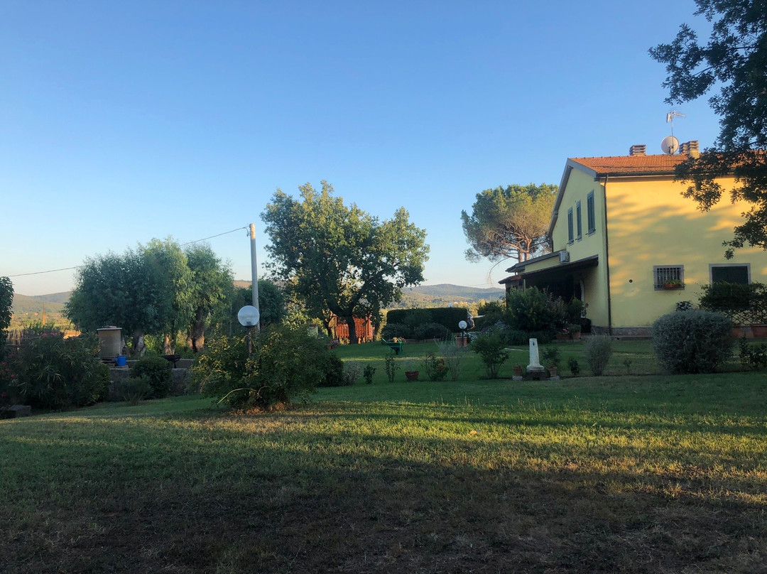 Agriturismo Poggio Sassineri主图