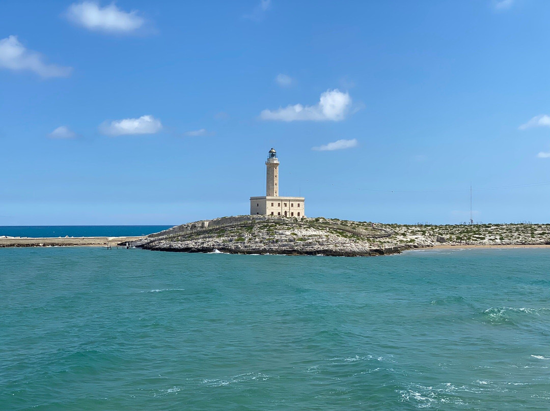 Faro di Vieste-维耶斯泰必去景点