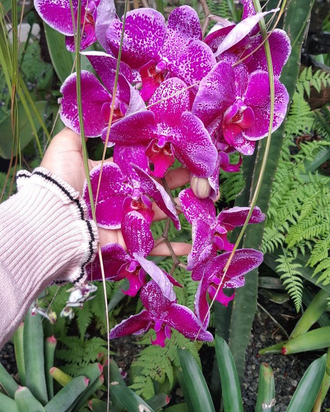 Pousada dos Meros主图