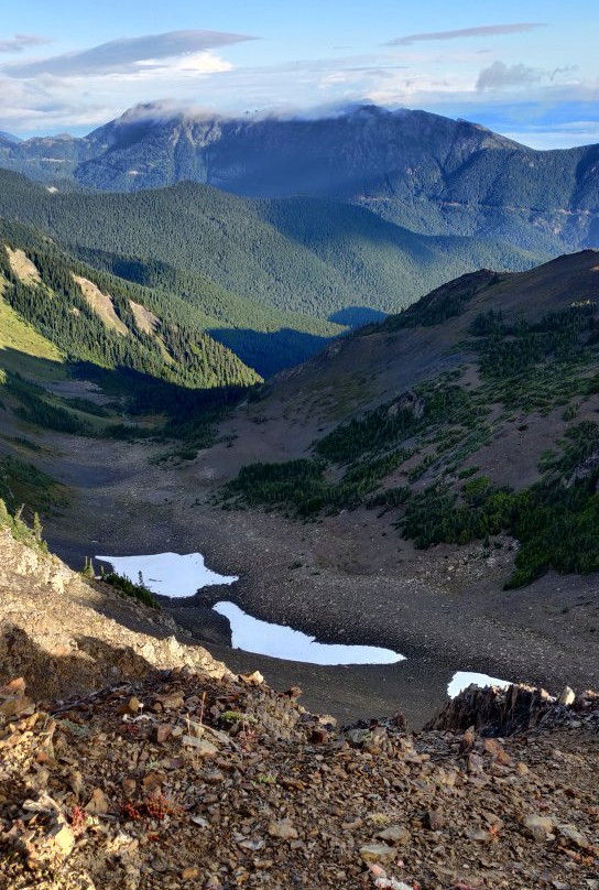 Obstruction Point Trailhead景点图片