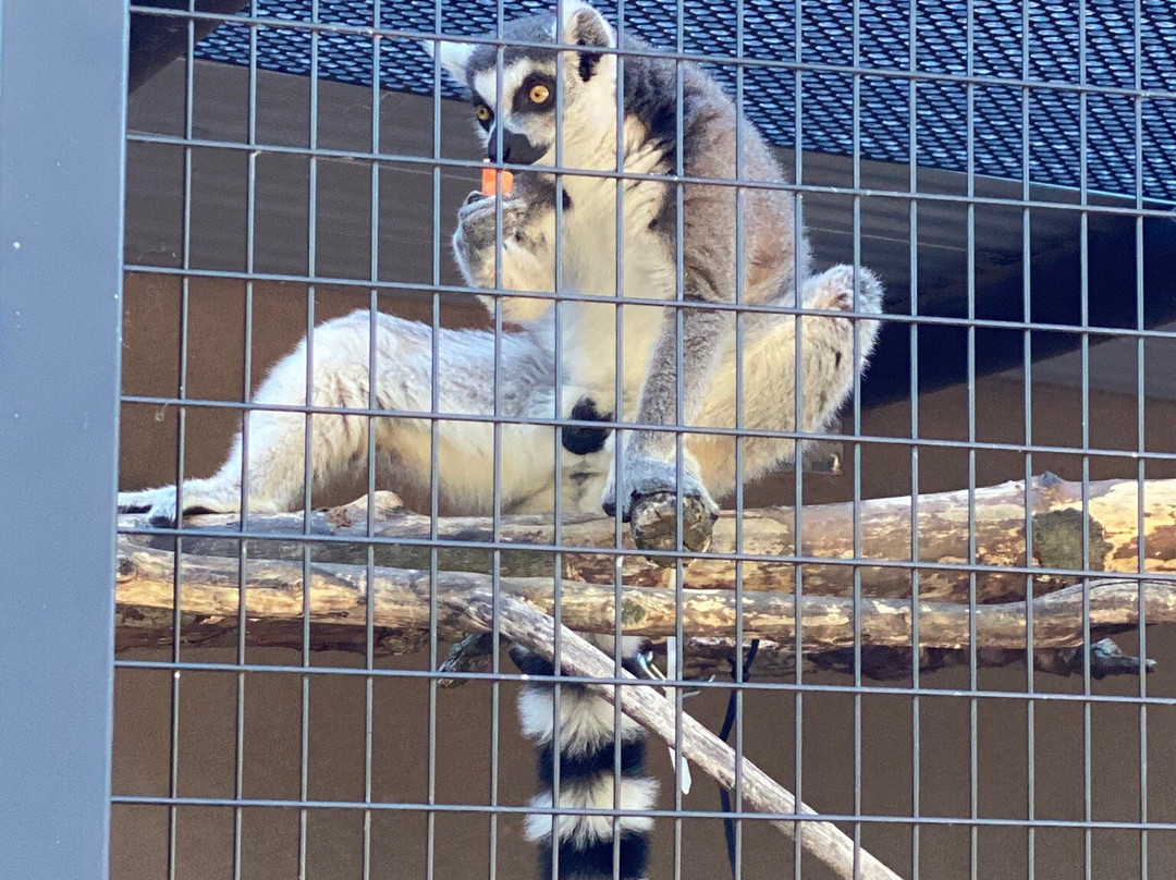 Irvine Park-奇珀瓦福尔斯必去景点