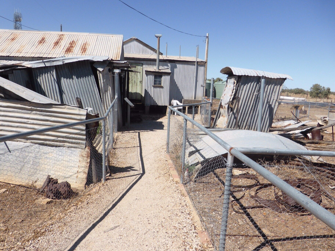 Willie Mar’s Fruit and Vegetable Shop-Winton必去景点